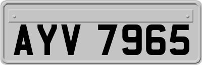 AYV7965