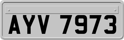 AYV7973