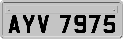 AYV7975