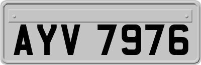 AYV7976