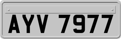 AYV7977