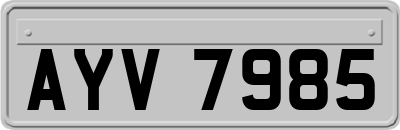 AYV7985