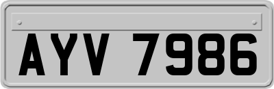 AYV7986