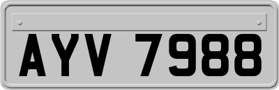 AYV7988