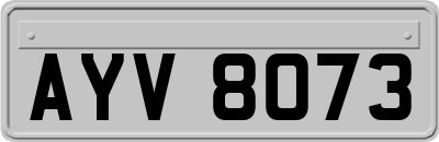 AYV8073