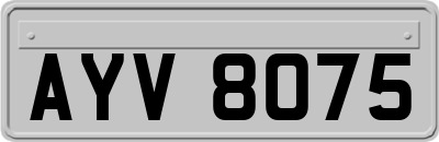 AYV8075