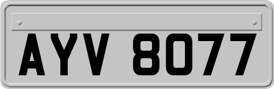 AYV8077