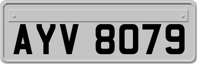 AYV8079