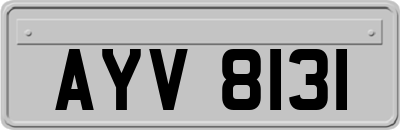 AYV8131