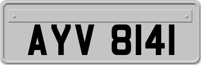 AYV8141