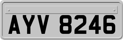 AYV8246