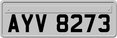 AYV8273