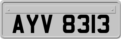 AYV8313