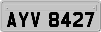 AYV8427