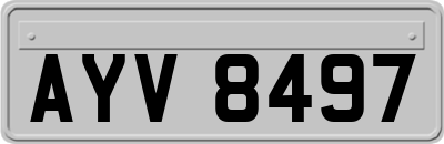 AYV8497