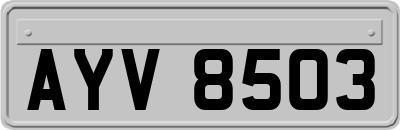 AYV8503