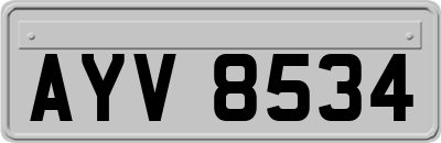 AYV8534