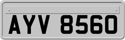 AYV8560