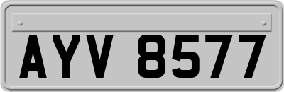AYV8577