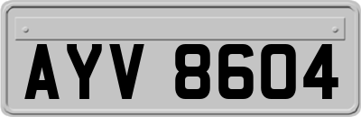 AYV8604