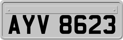 AYV8623