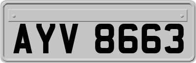 AYV8663