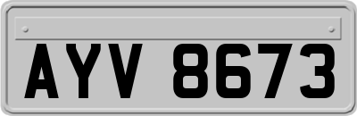 AYV8673