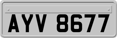 AYV8677