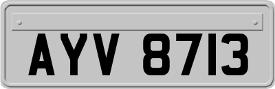 AYV8713