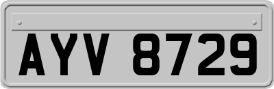 AYV8729