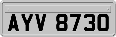 AYV8730