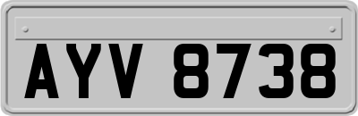 AYV8738