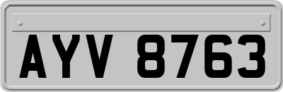 AYV8763