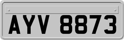 AYV8873