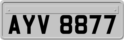 AYV8877