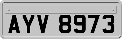 AYV8973