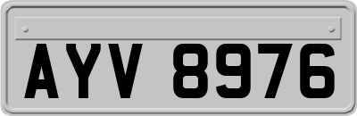 AYV8976