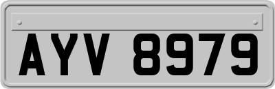 AYV8979