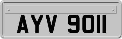 AYV9011