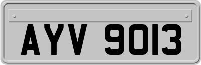 AYV9013