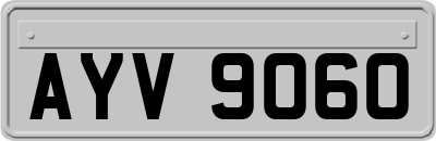 AYV9060