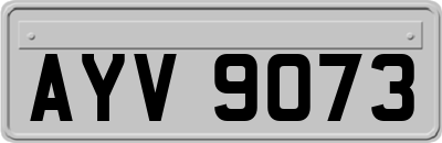 AYV9073