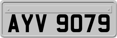 AYV9079