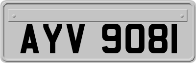 AYV9081