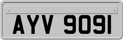 AYV9091