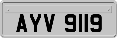AYV9119