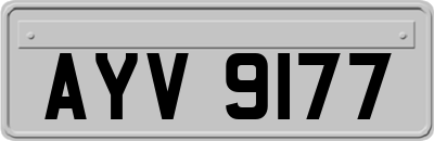 AYV9177