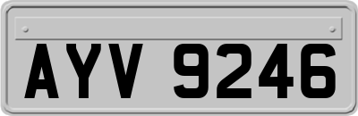 AYV9246