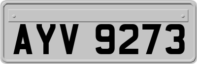 AYV9273
