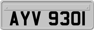 AYV9301